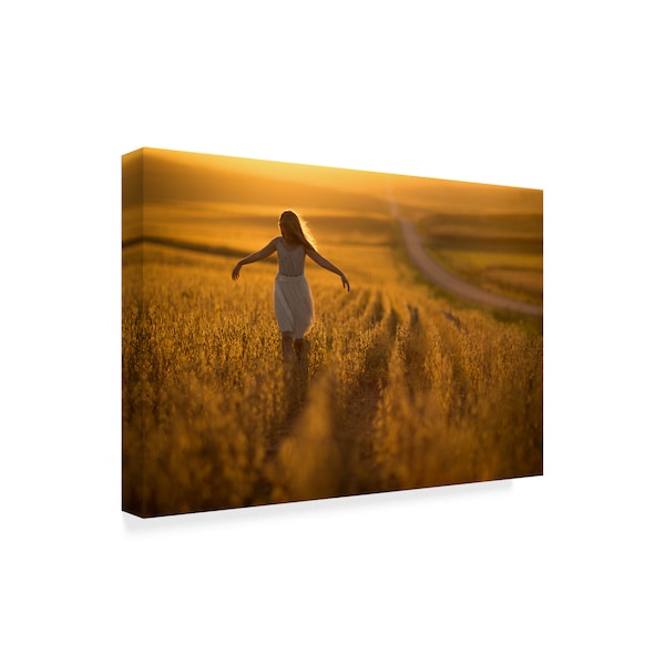 Jake Olson 'Nebraska' Canvas Art,16x24